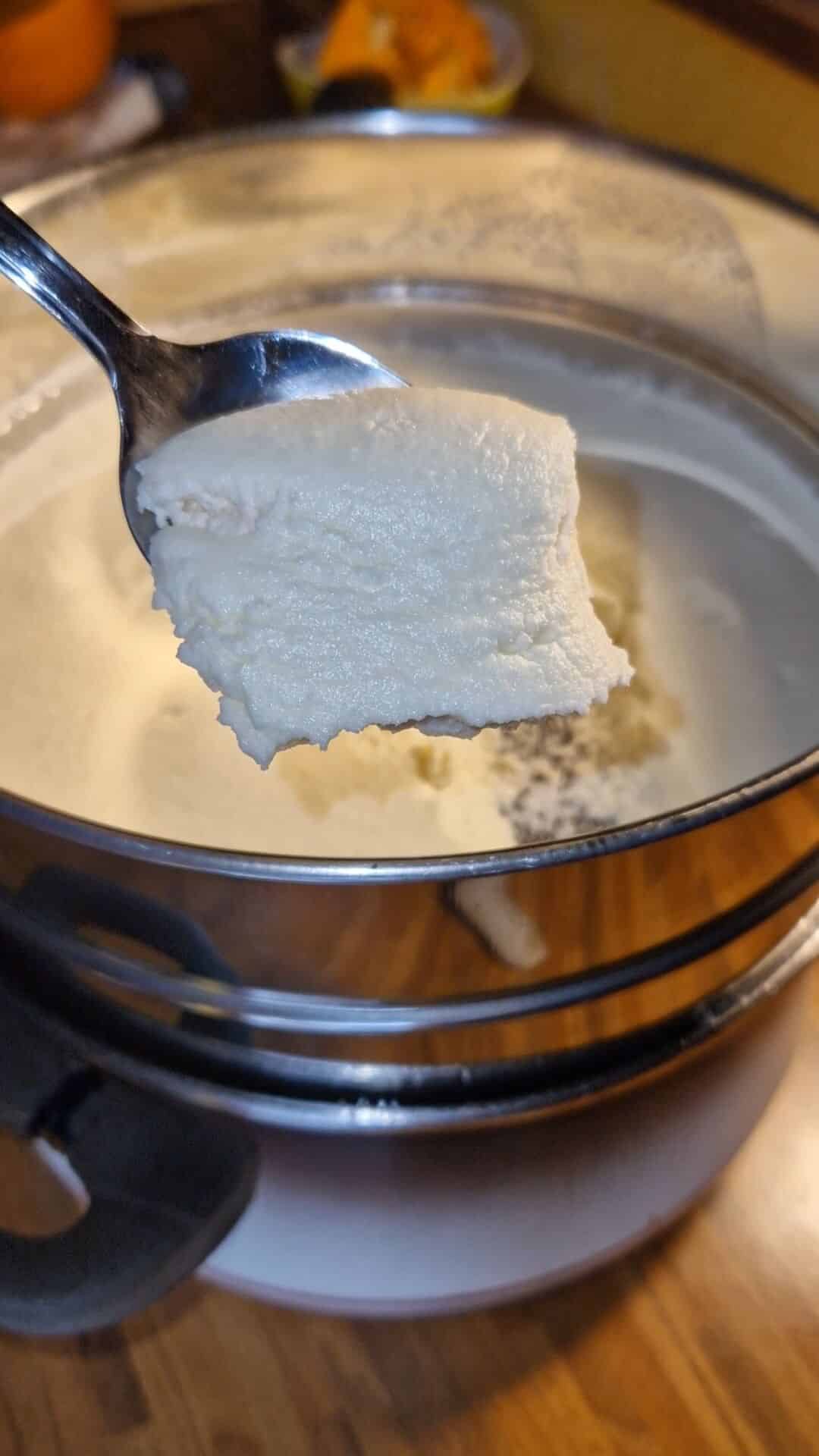 Domača skuta